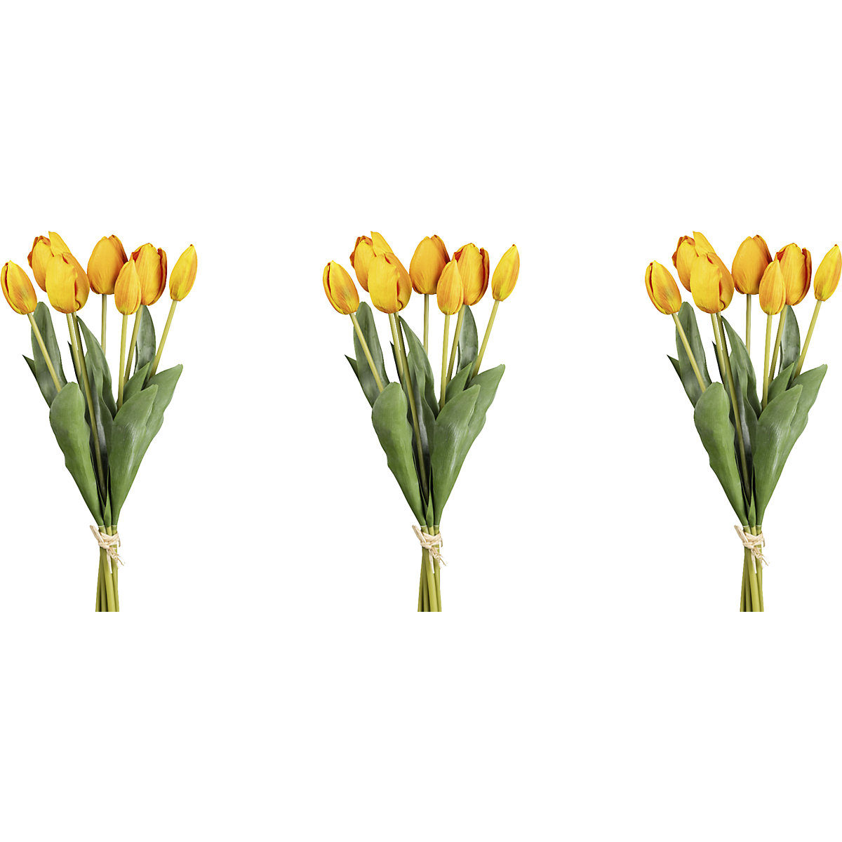 Bouquet de tulipes, sept fleurs