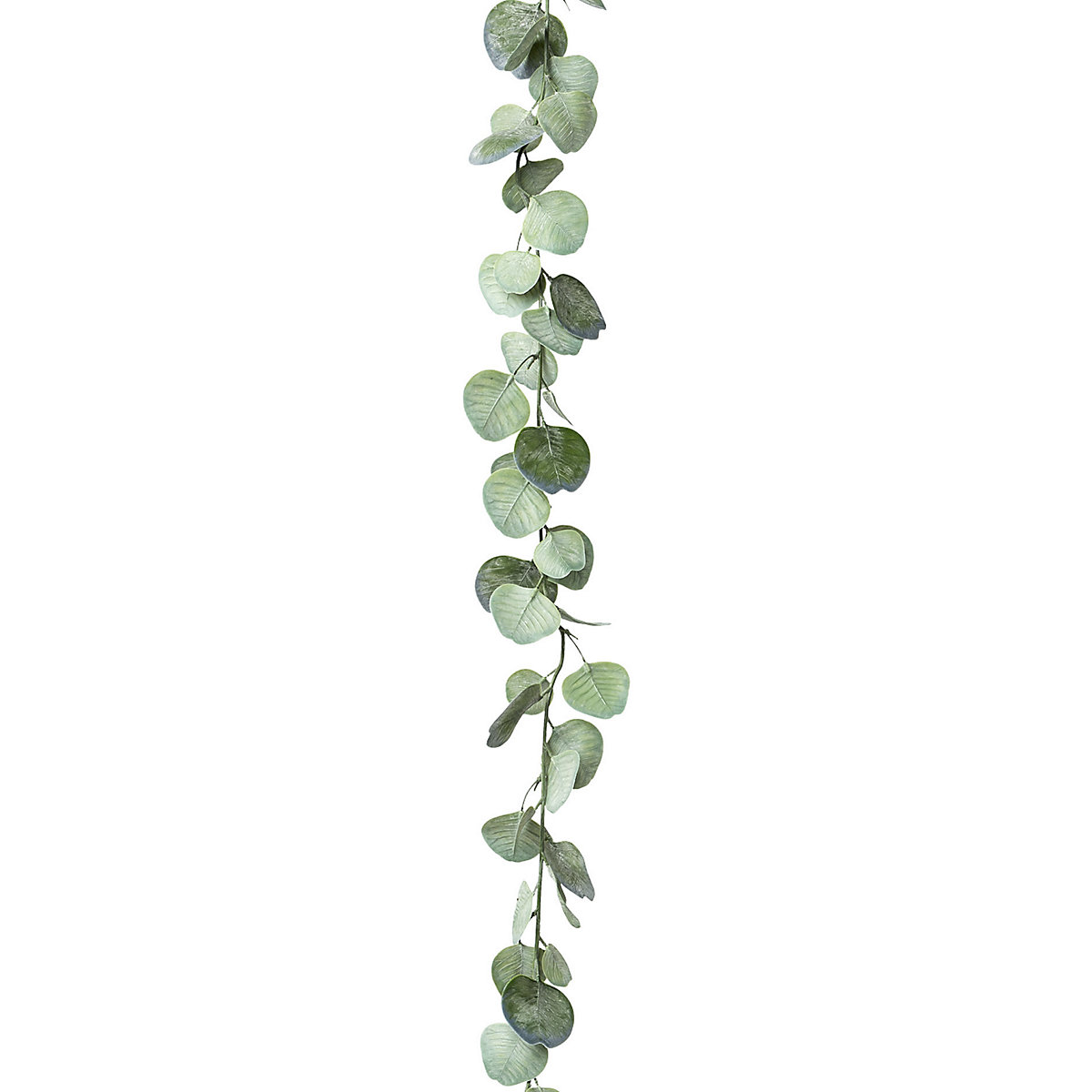 Guirlande d'eucalyptus (Illustration du produit 2)-1
