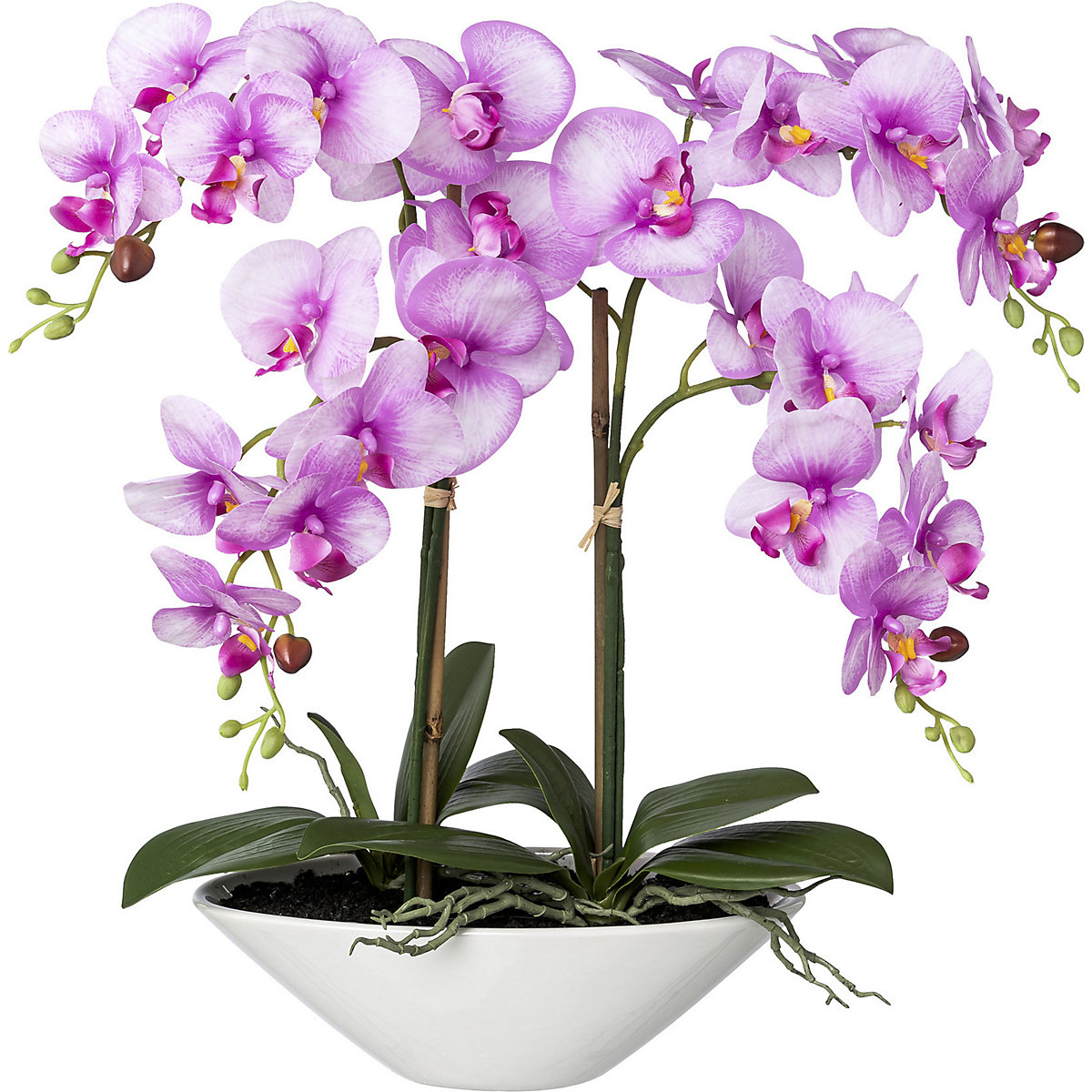 Phalaenopsis, real touch (Illustration du produit 2)-1