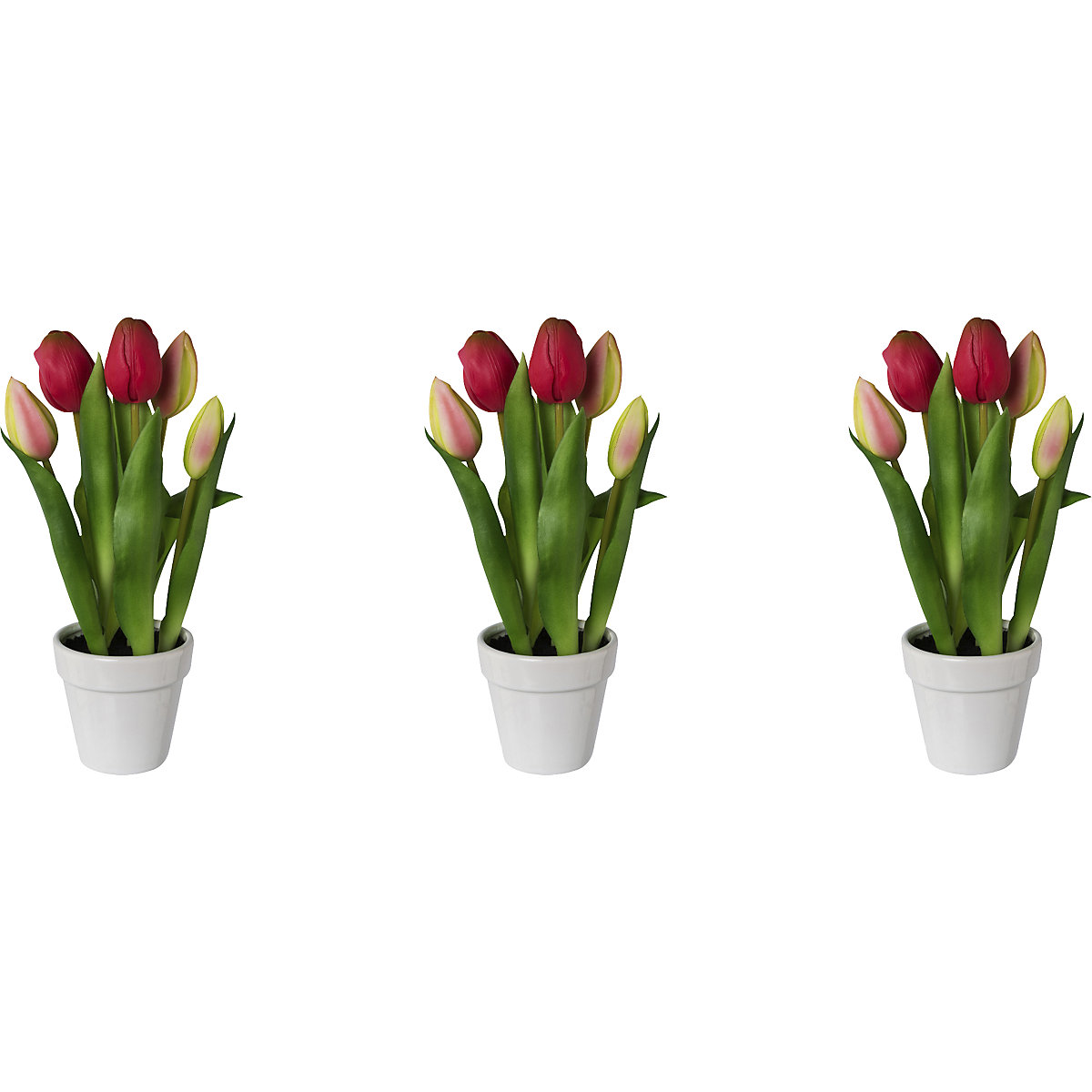 Tulipes, real touch, dans un pot céramique