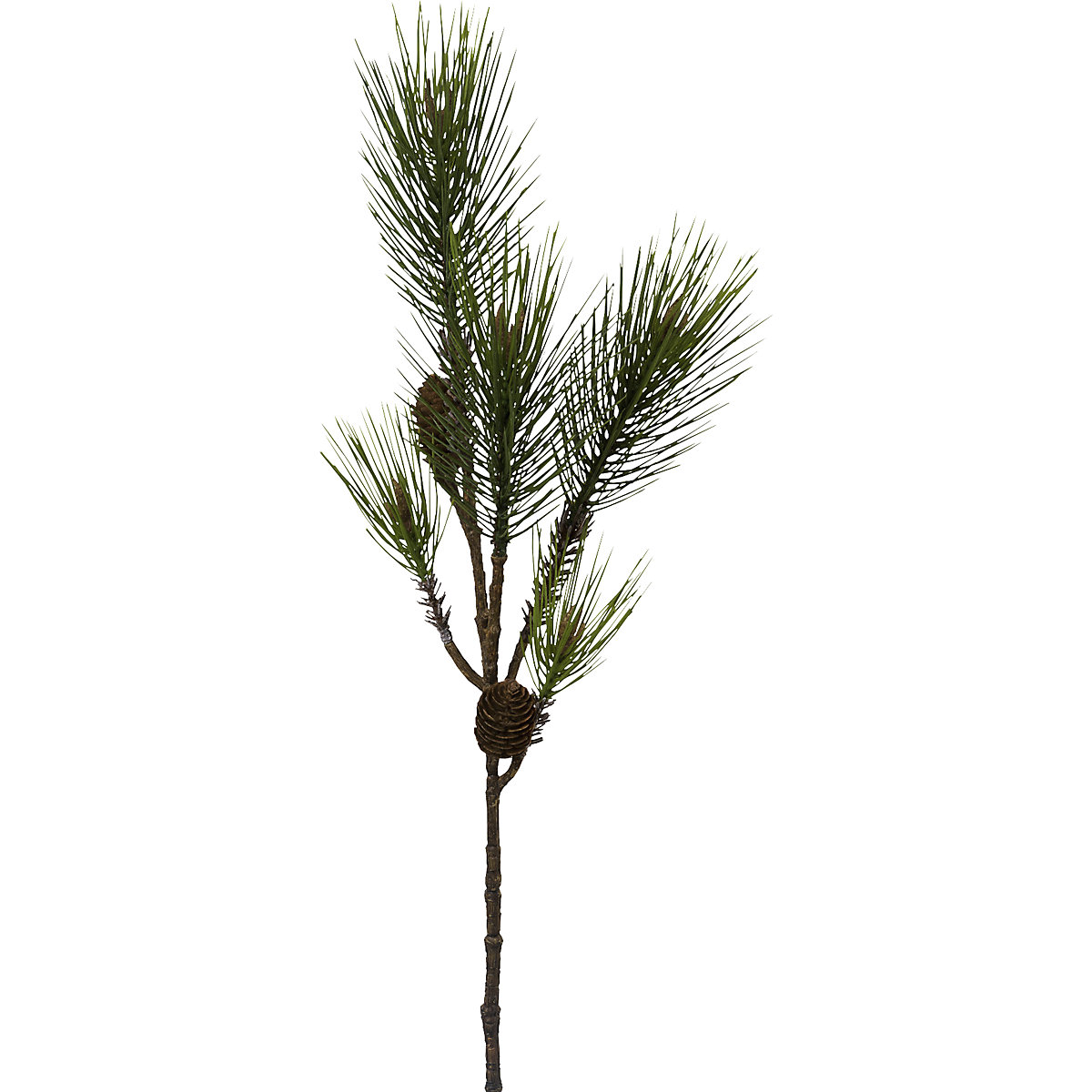 Branche de pin (Illustration du produit 2)-1