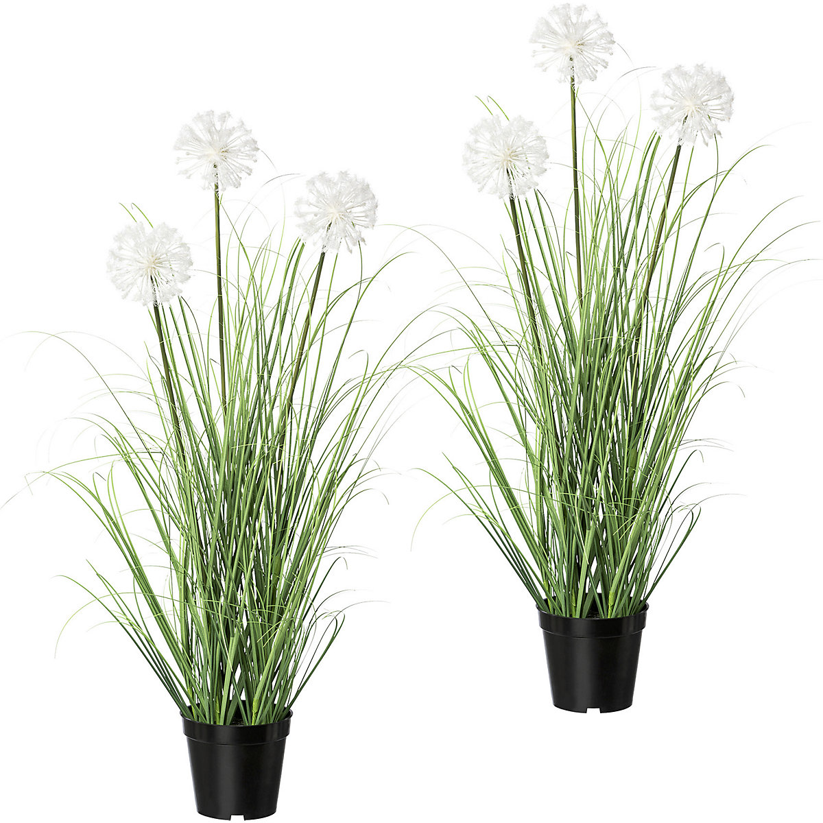 Buisson d'herbe avec pissenlits, lot de 2, en pot, hauteur 780 mm-0