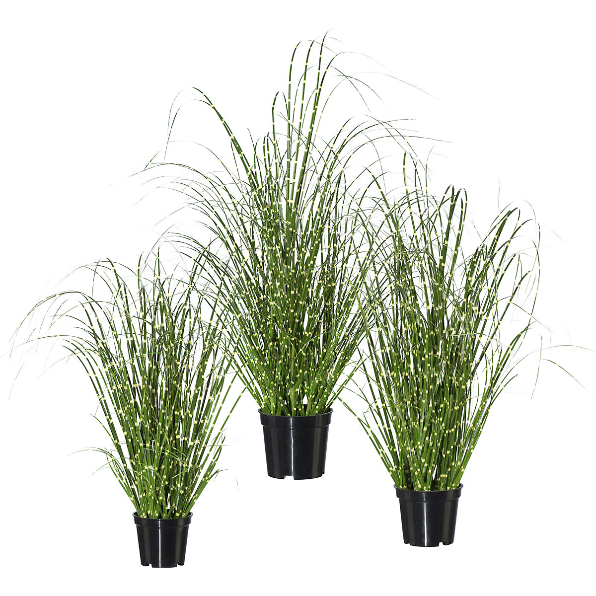 Buisson d'herbe