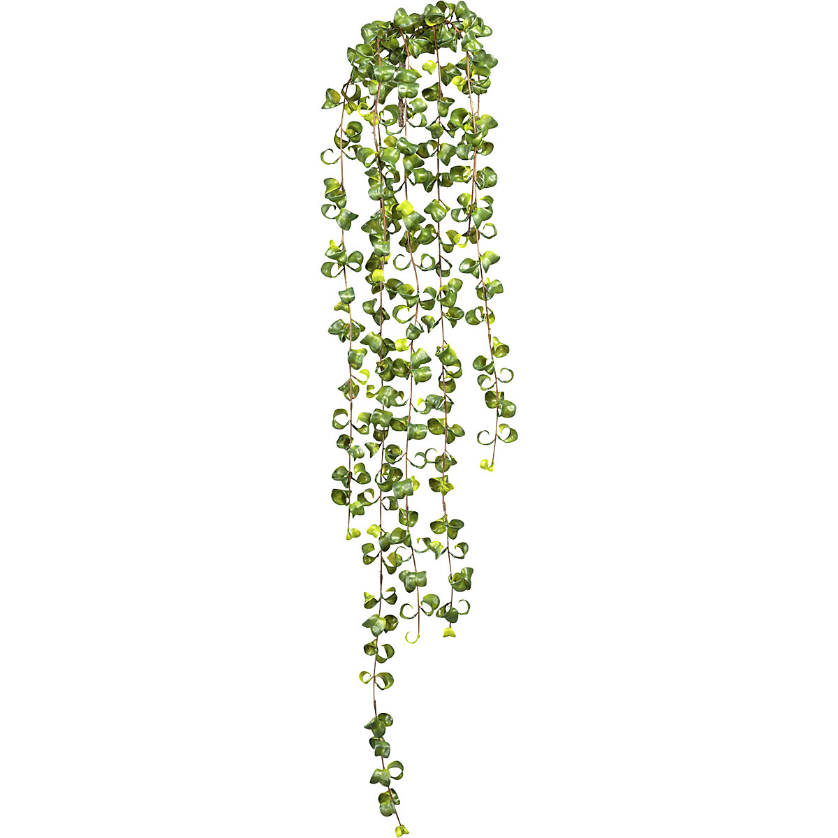 Feuilles suspendues de figuier baroque (Illustration du produit 2)-1