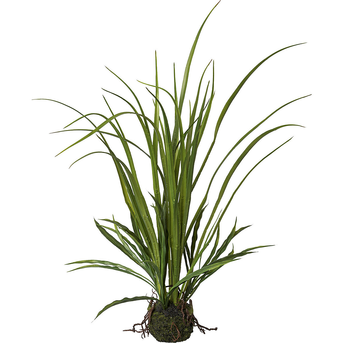 Herbe des prairies en botte (Illustration du produit 2)-1