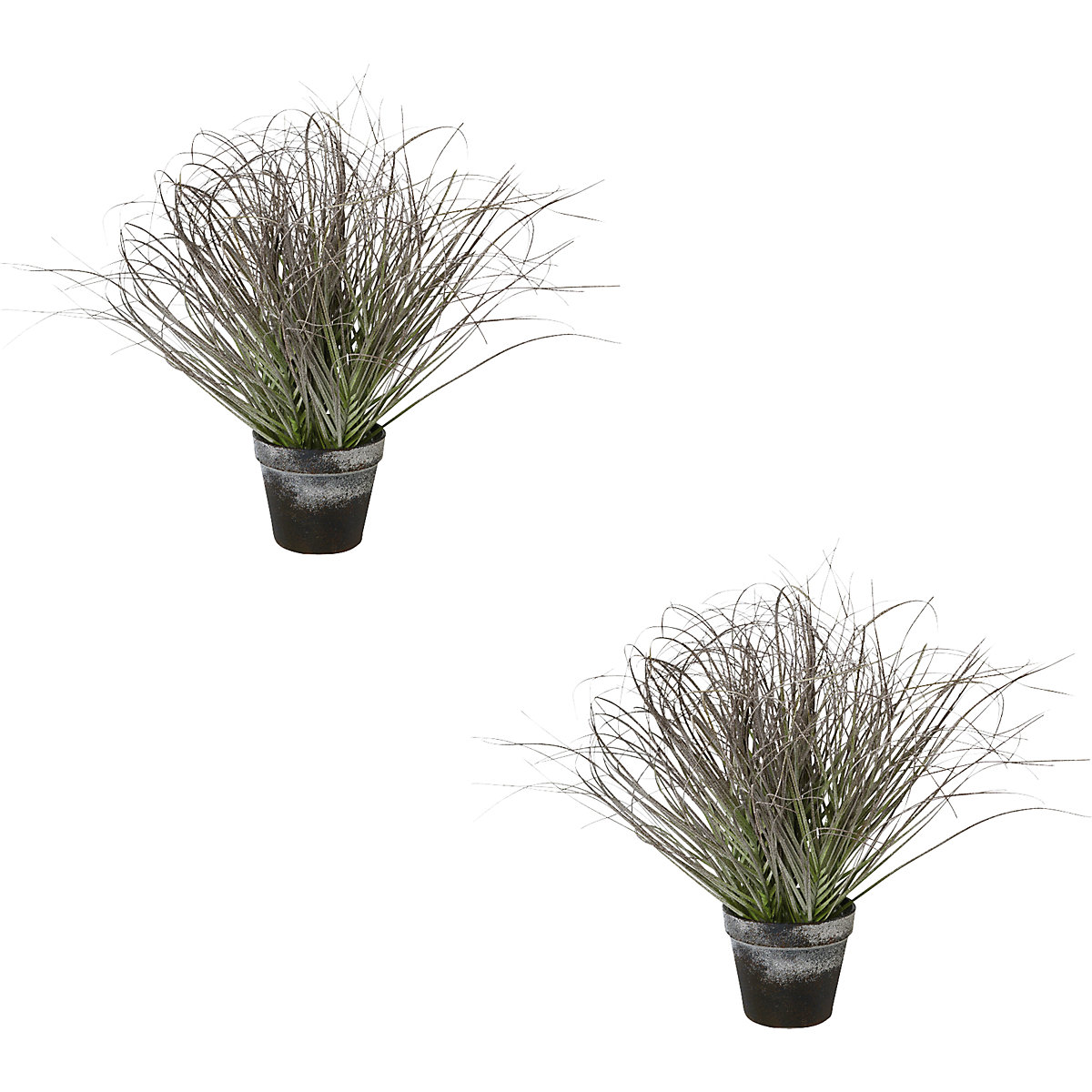 Herbe en pot, givrée, vert, lot de 2, hauteur 450 mm-0
