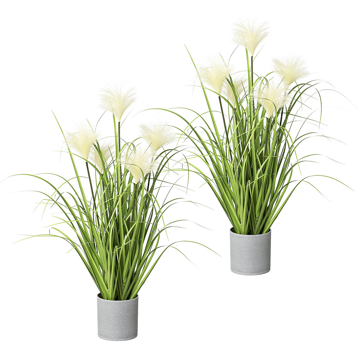 Laîche, dans un pot gris, lot de 2, hauteur 660 mm-0