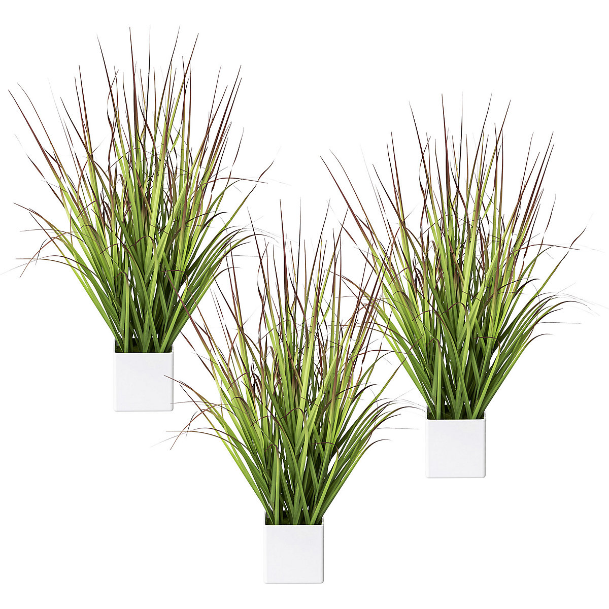Paillote rouge en pot, lot de 3, hauteur 610 mm, vert-rouge-0