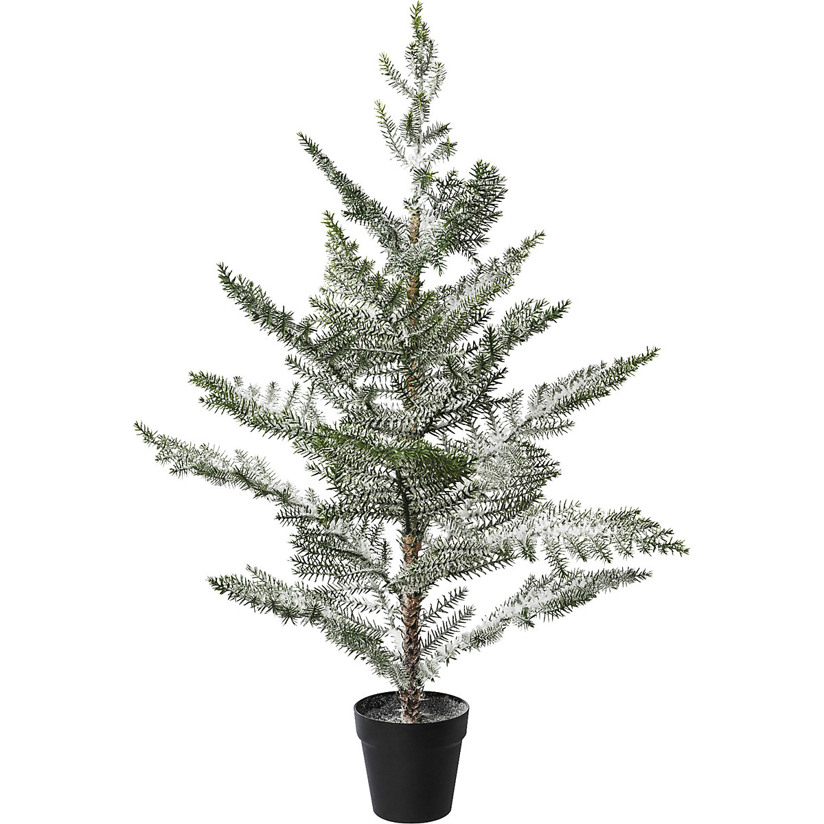 Sapin d'appartement en pot, enneigé