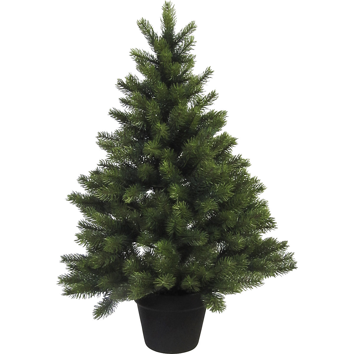 Sapin d'intérieur en pot