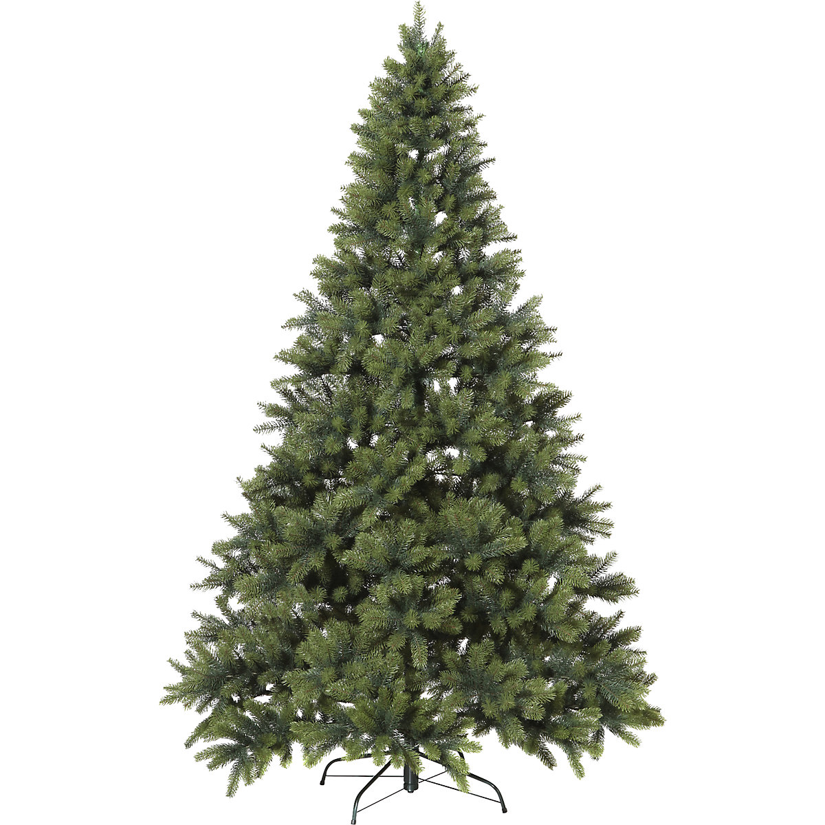 Sapin