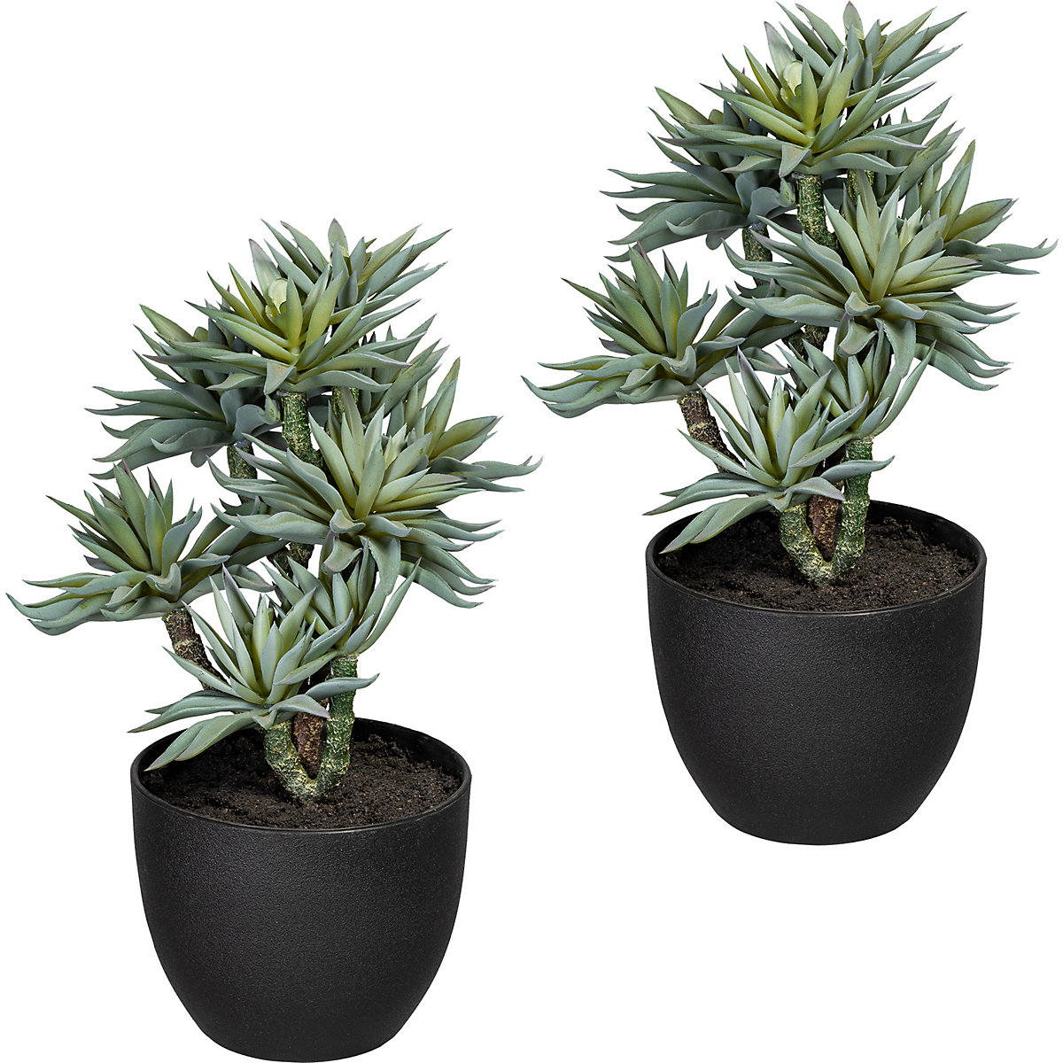 Succulentes sur tige, lot de 2, hauteur 300 mm, gris vert, pot en plastique-0