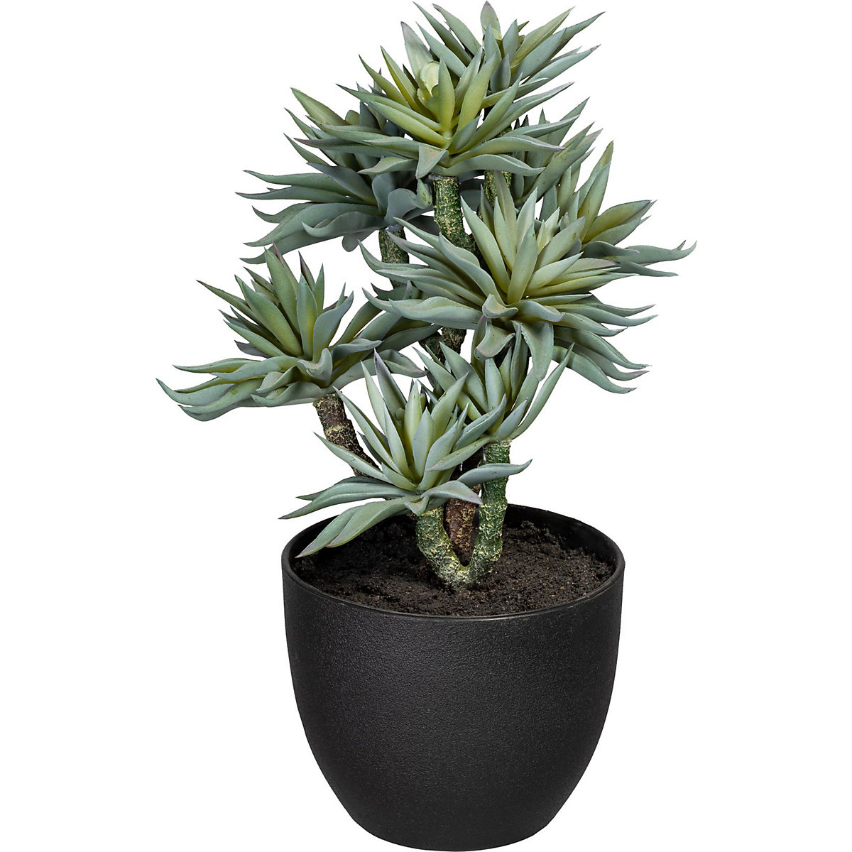 Succulentes sur tige (Illustration du produit 2)-1