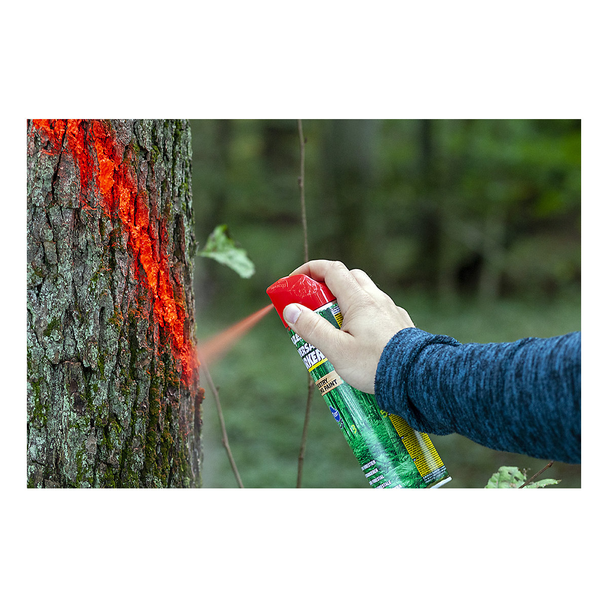 Mammut Paint Universal Marker® erdészeti jelölőspray, tartós – Ampere (Termék képe 3)-2