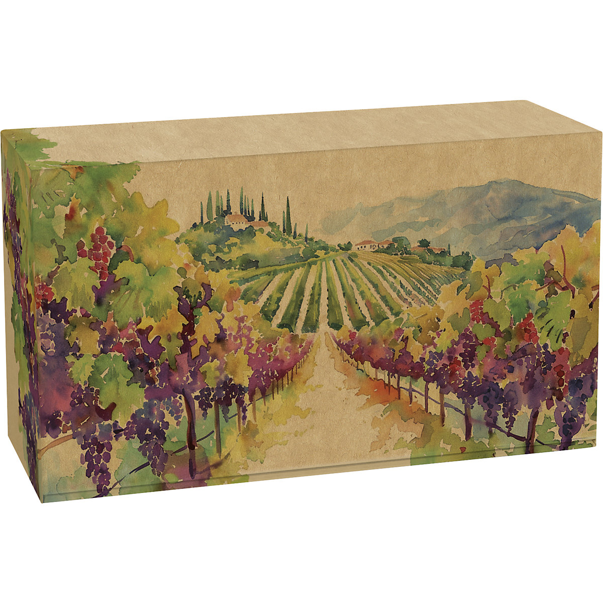 Flaschen-Geschenkkarton VINEA