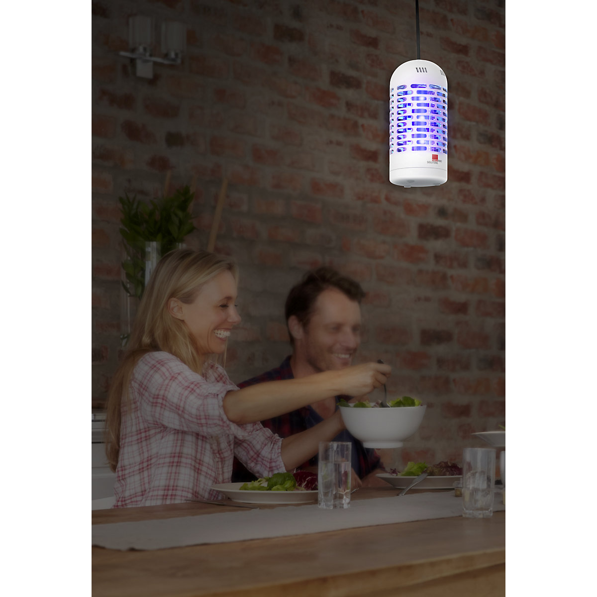 Hubič hmyzu s UV světlem, 3 W (Obrázek výrobku 2)-1