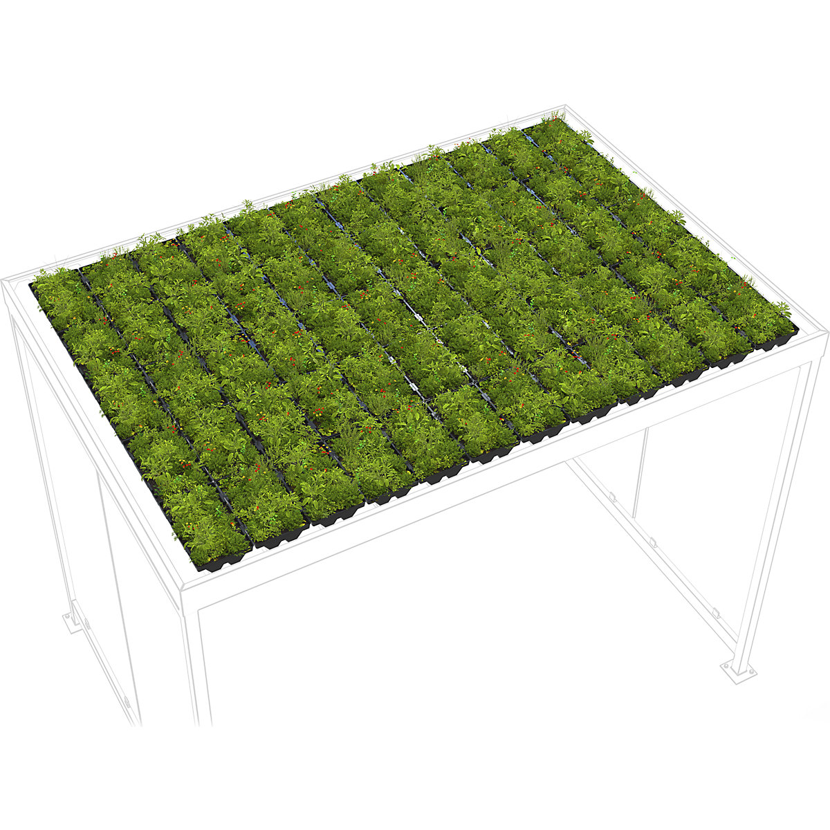 Rinverdimento per tetti Premium – WSM (Foto prodotto 2)-1