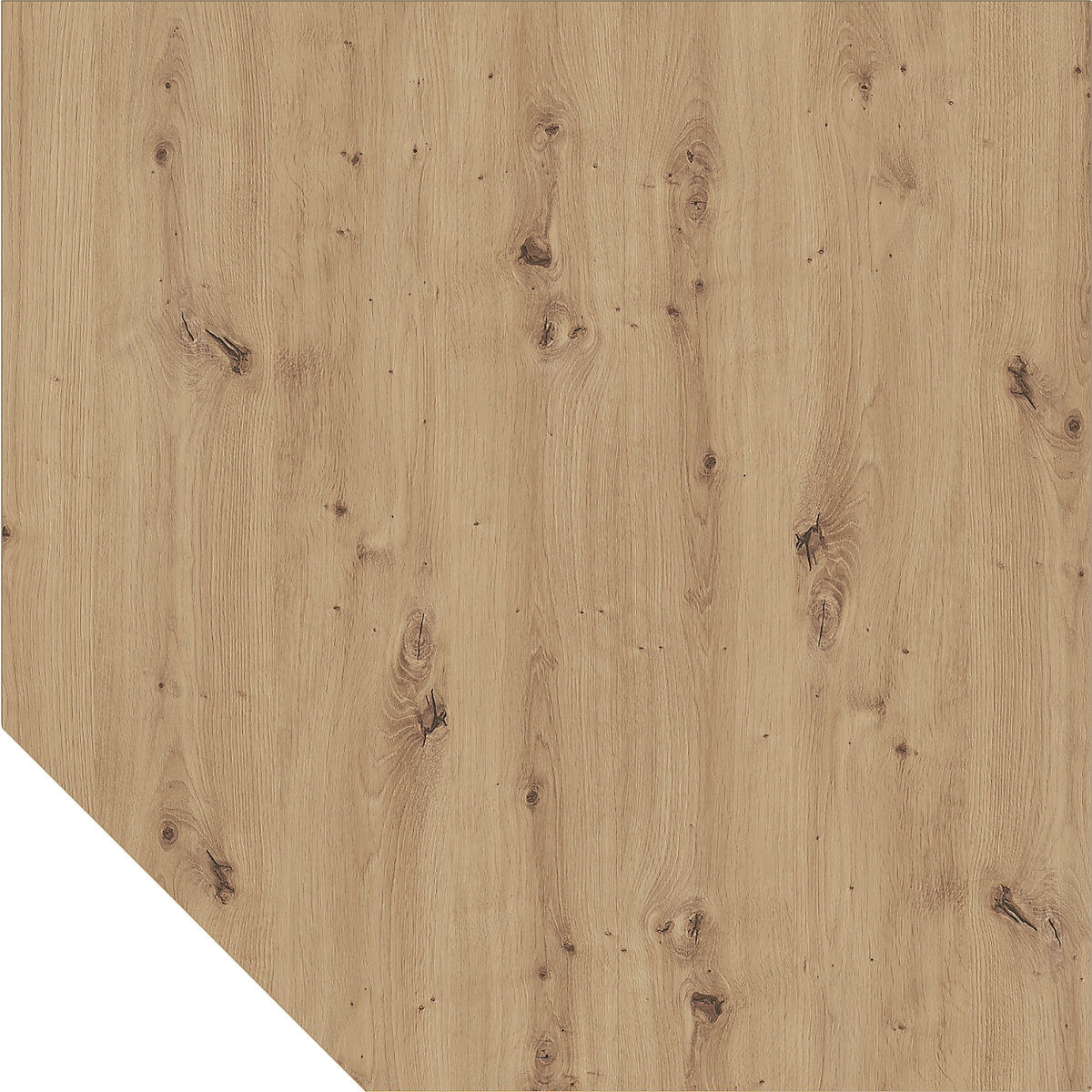 Angolare ANNY – eurokraft pro, a forma trapezoidale montante incl., rovere nodato / alluminio brillante-0