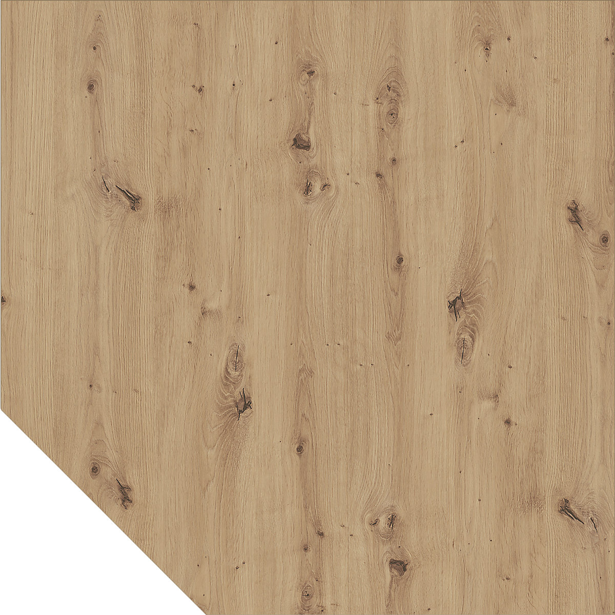 Angolare ANNY – eurokraft pro, a forma trapezoidale montante incl., rovere nodato / bianco-0