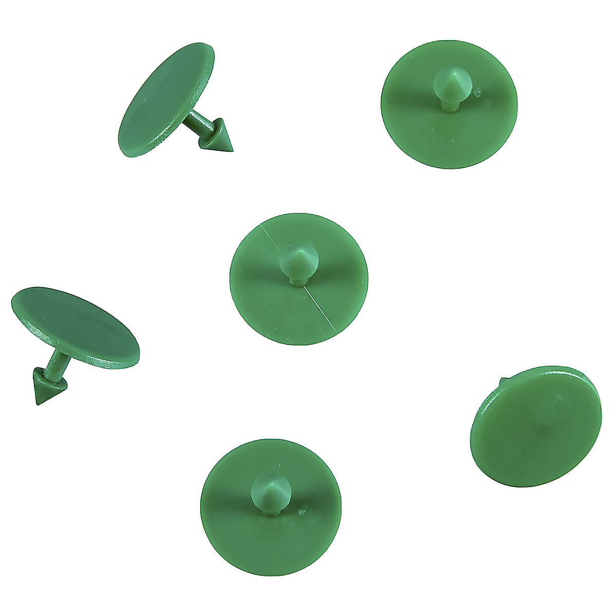 Clip per cartone – EICHNER, con punta conica, conf. da 1000 pz., verde-0