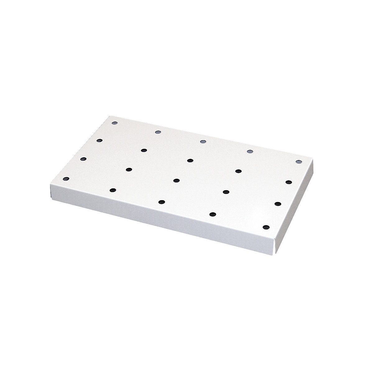 Perforated steel insert - asecos