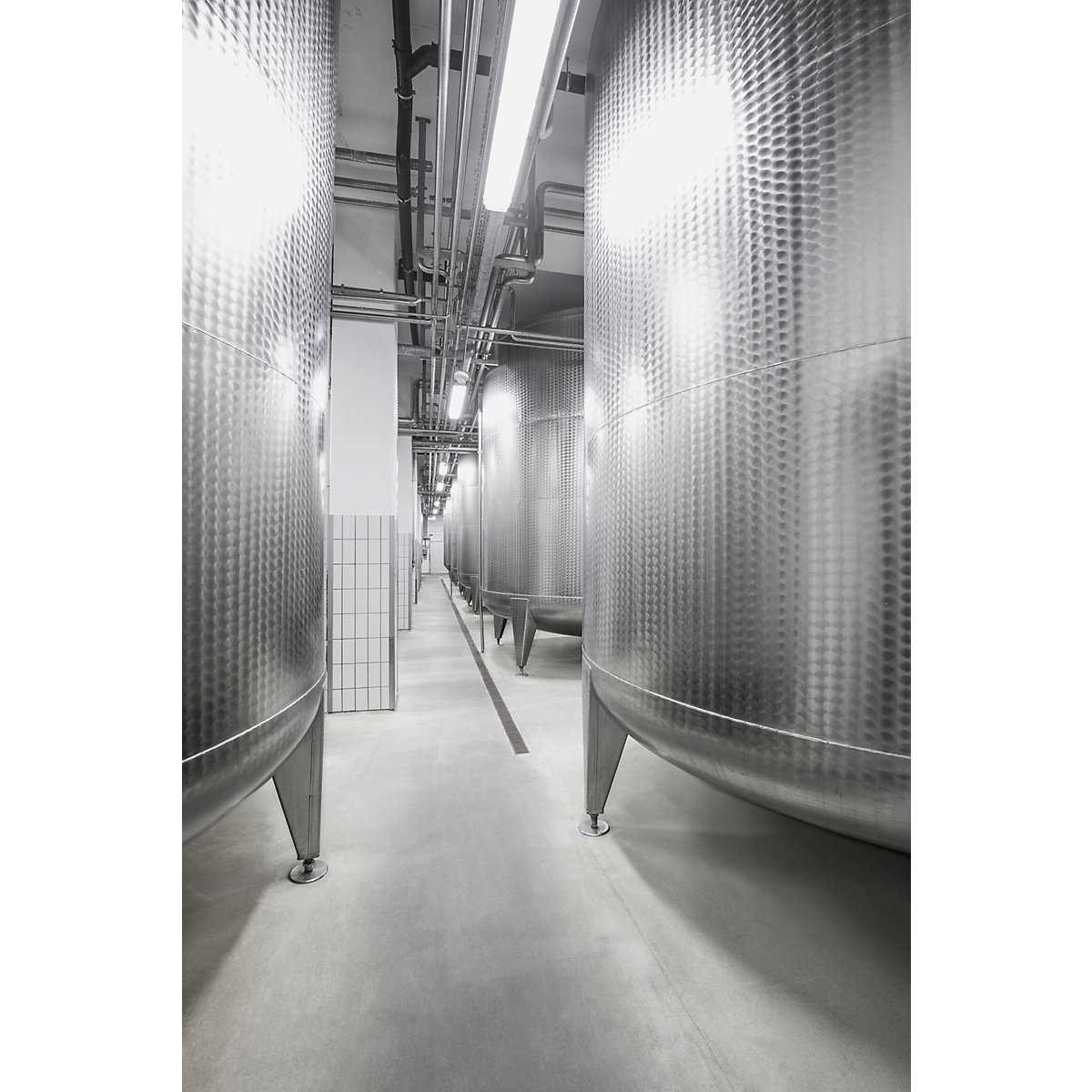 Detergente schiumogeno RM 57 ASF – Kärcher (Foto prodotto 3)-2