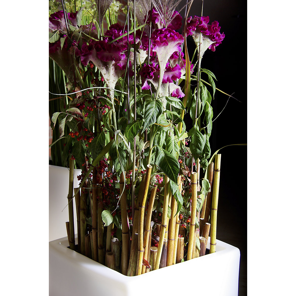 Jardinieră – DEGARDO (Imagine produs 2)-1