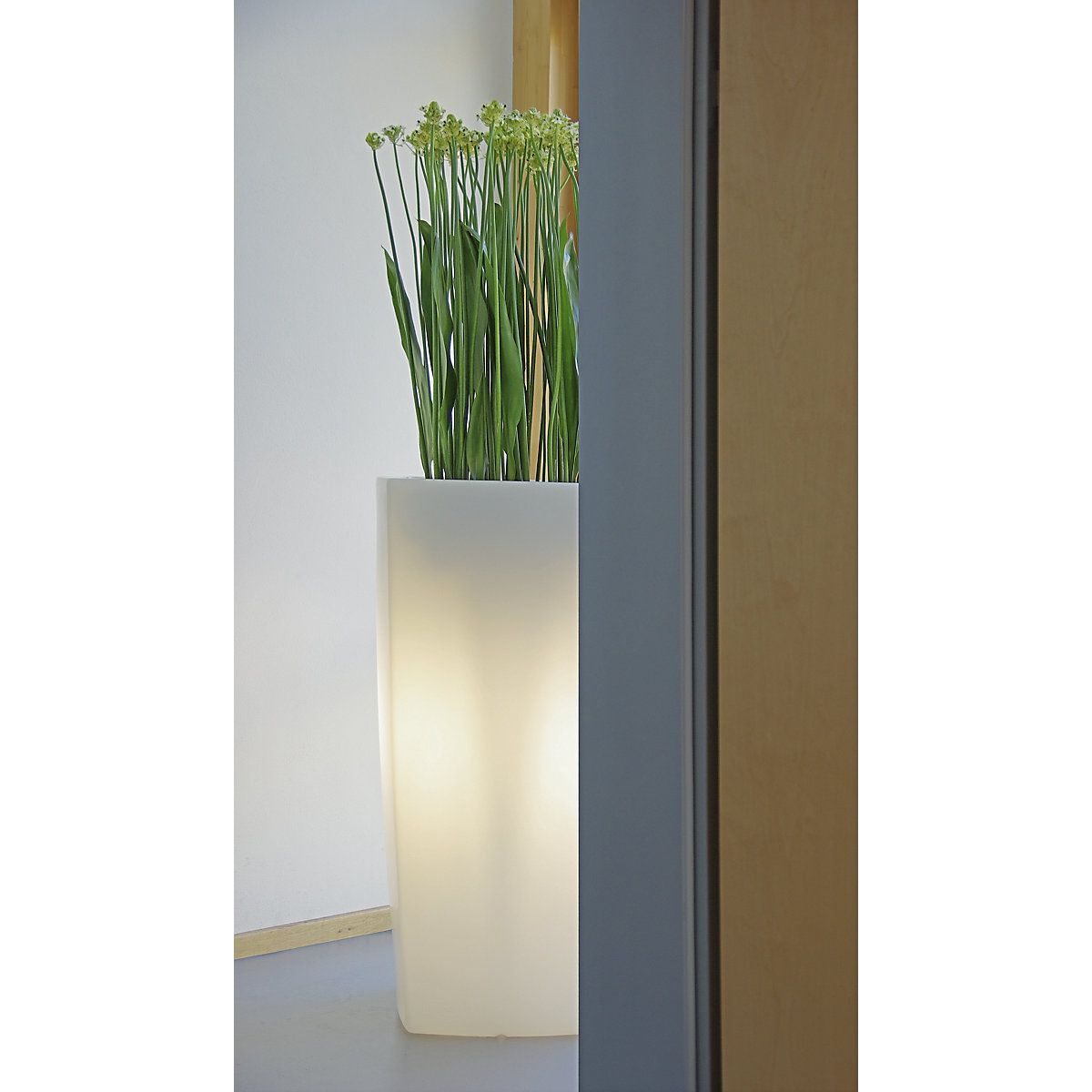 Jardinieră – DEGARDO (Imagine produs 2)-1