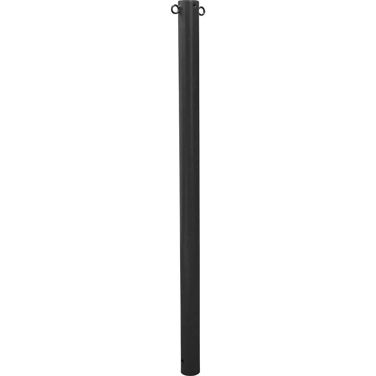 Stâlp de blocare, Ø 76 mm, mica – Schake