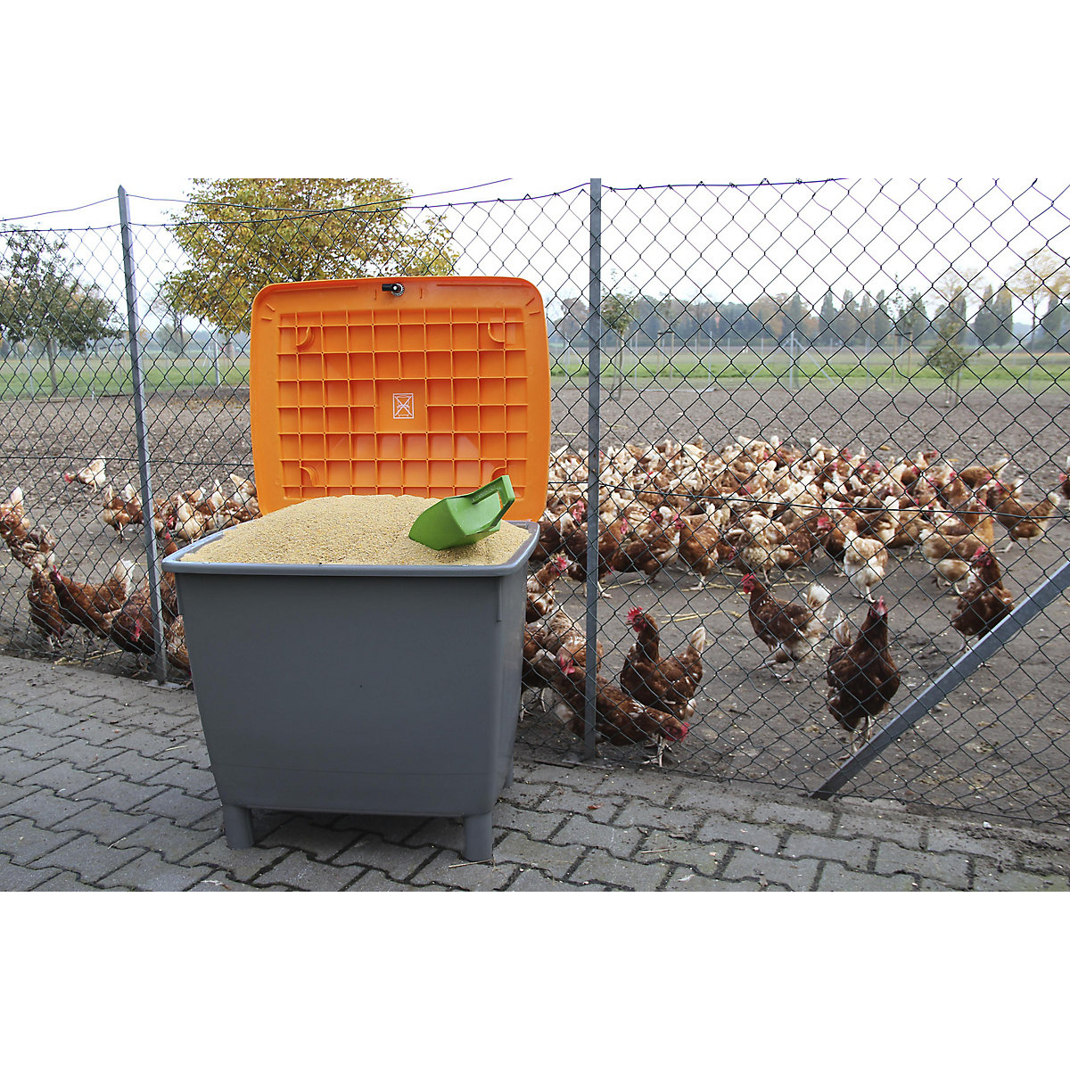 Recipiente retangular (Imagem do produto 7)-6