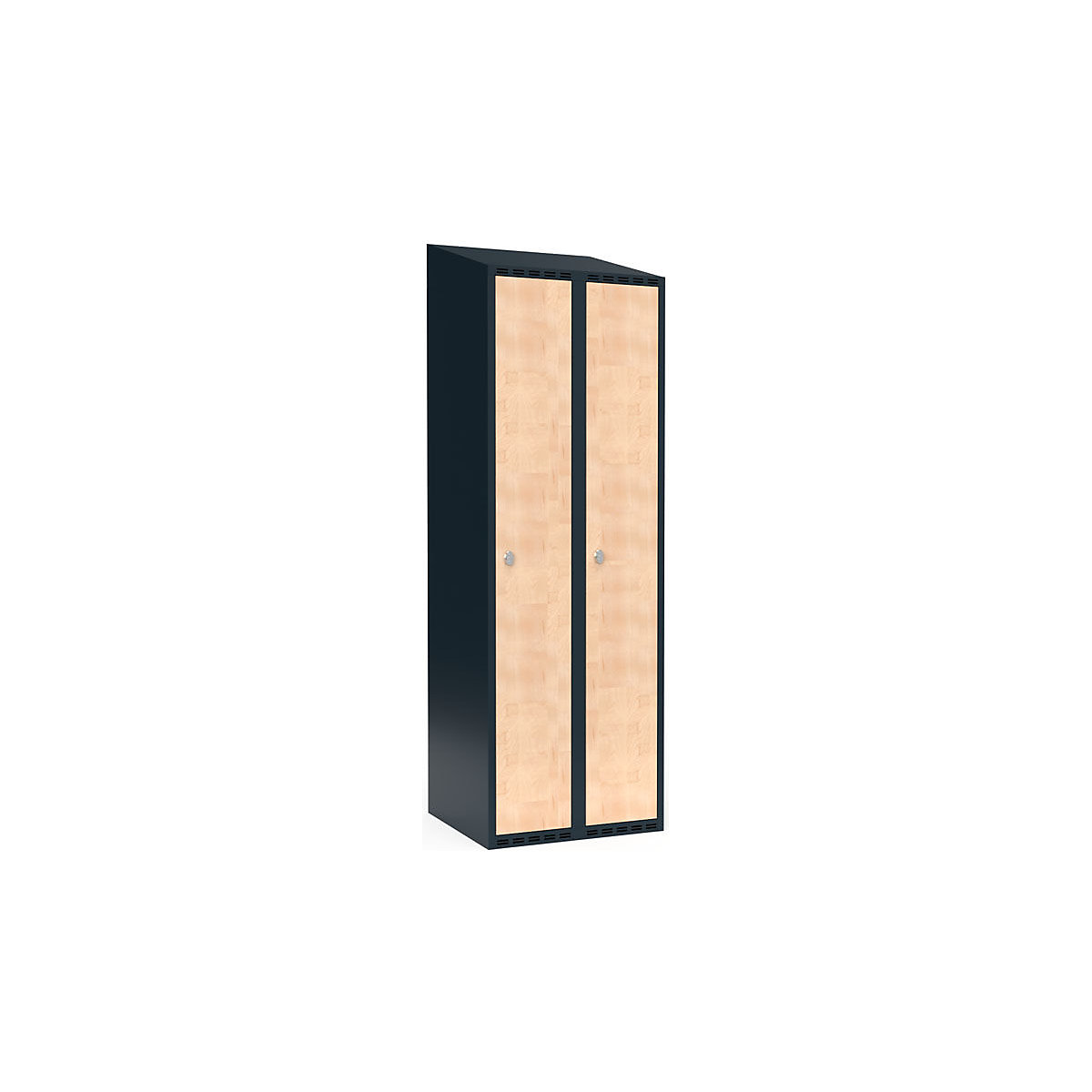 Armadietto Fydor, 2 scomparti, grigio / betulla, largh. 600 mm, 2 scomparti, tetto inclinato, lucchetto-0