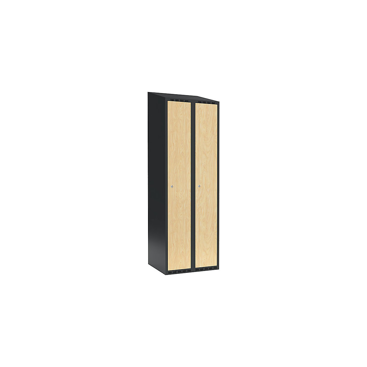Armadietto Fydor, 2 scomparti, grigio / betulla, largh. 600 mm, 2 scomparti, tetto inclinato, serratura a cilindro-0