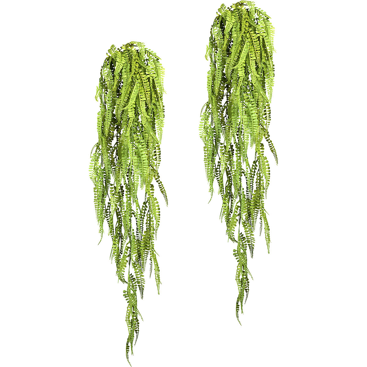 Adianto a sospensione, verde, lunghezza 1050 mm, conf. da 2 pz.-0