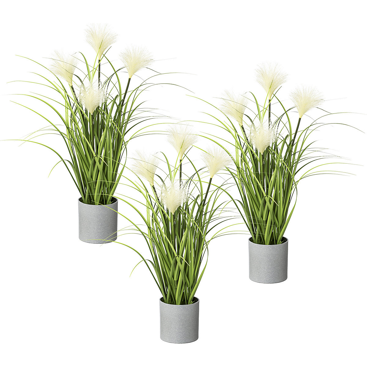 Carice, in vaso grigio, conf. da 3 pz., altezza ca. 500 mm-0
