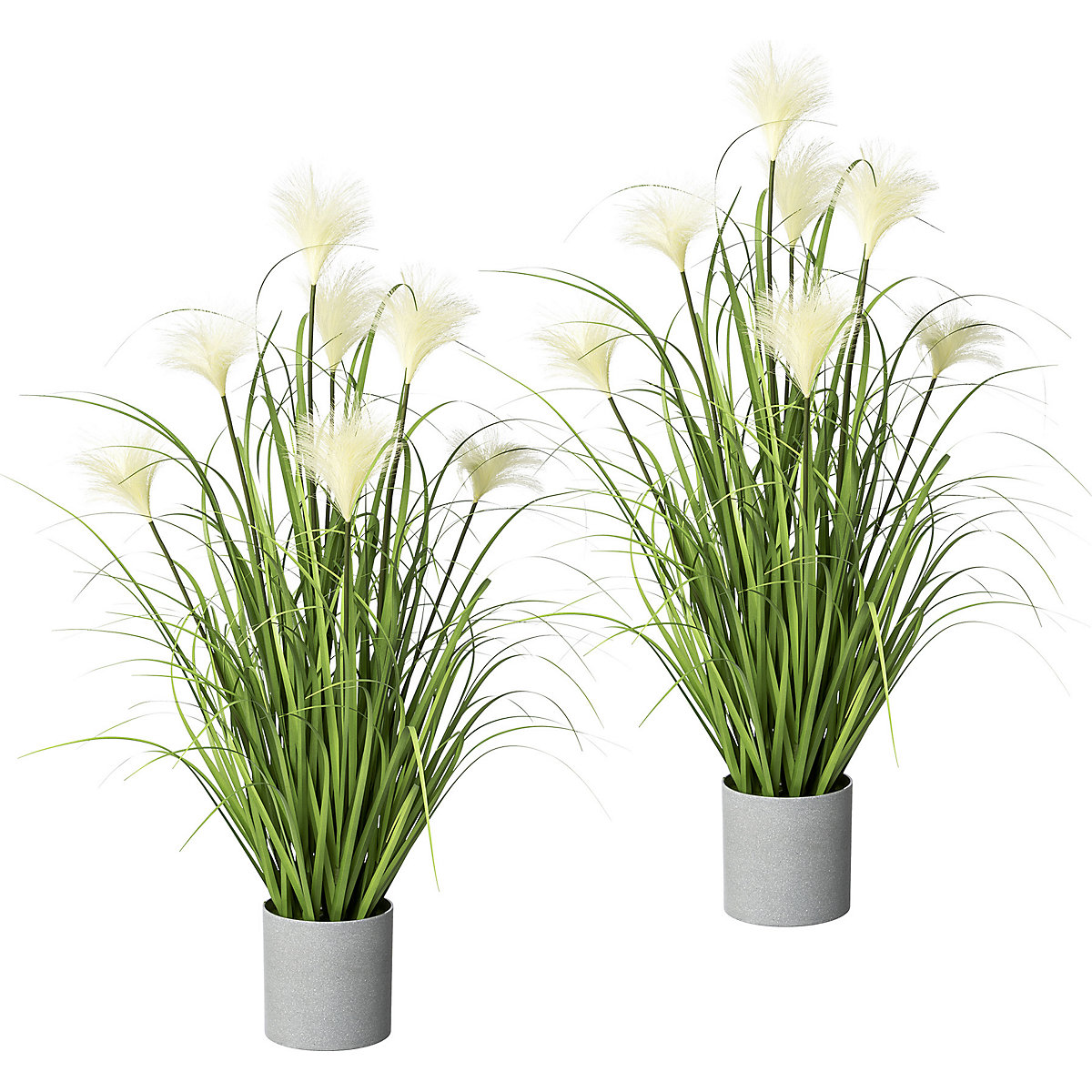 Carice, in vaso grigio, conf. da 2 pz., altezza ca. 760 mm-0