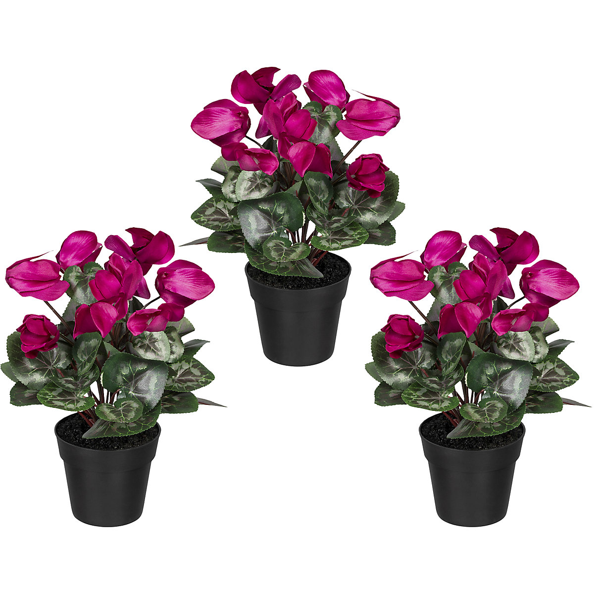 Ciclamino, in vaso di plastica, conf. da 3 pz., fucsia, altezza 300 mm-0