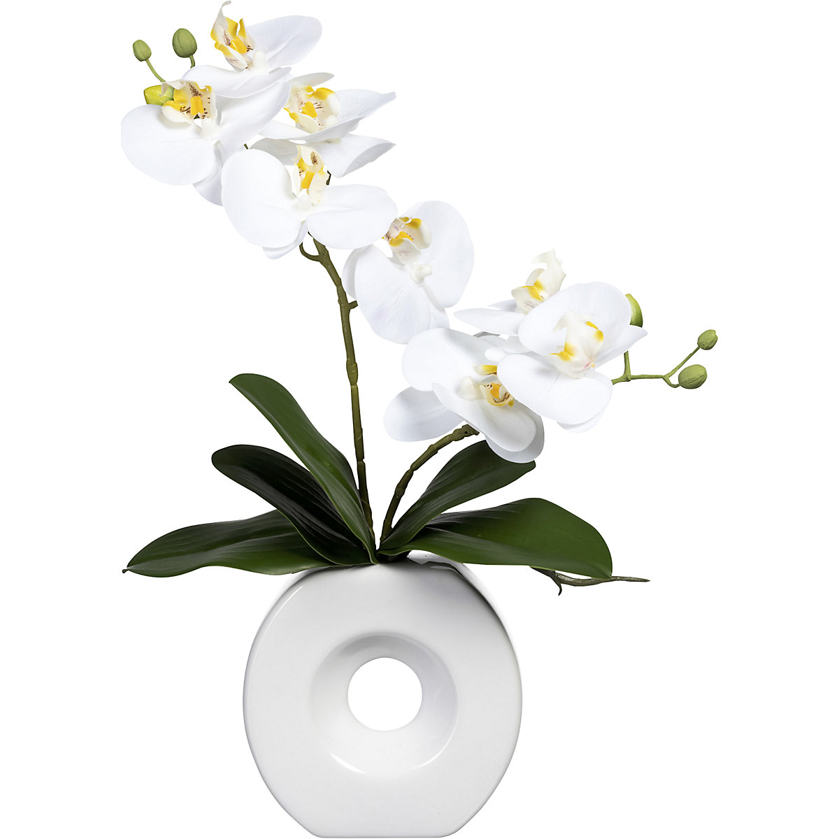 Orchidea phalaenopsis, real touch (Foto prodotto 2)-1