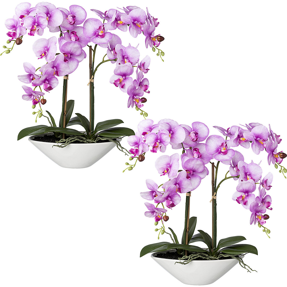 Orchidea phalaenopsis, real touch, altezza 530 mm, conf. da 2 pz., ciotola di ceramica, orchidea-0