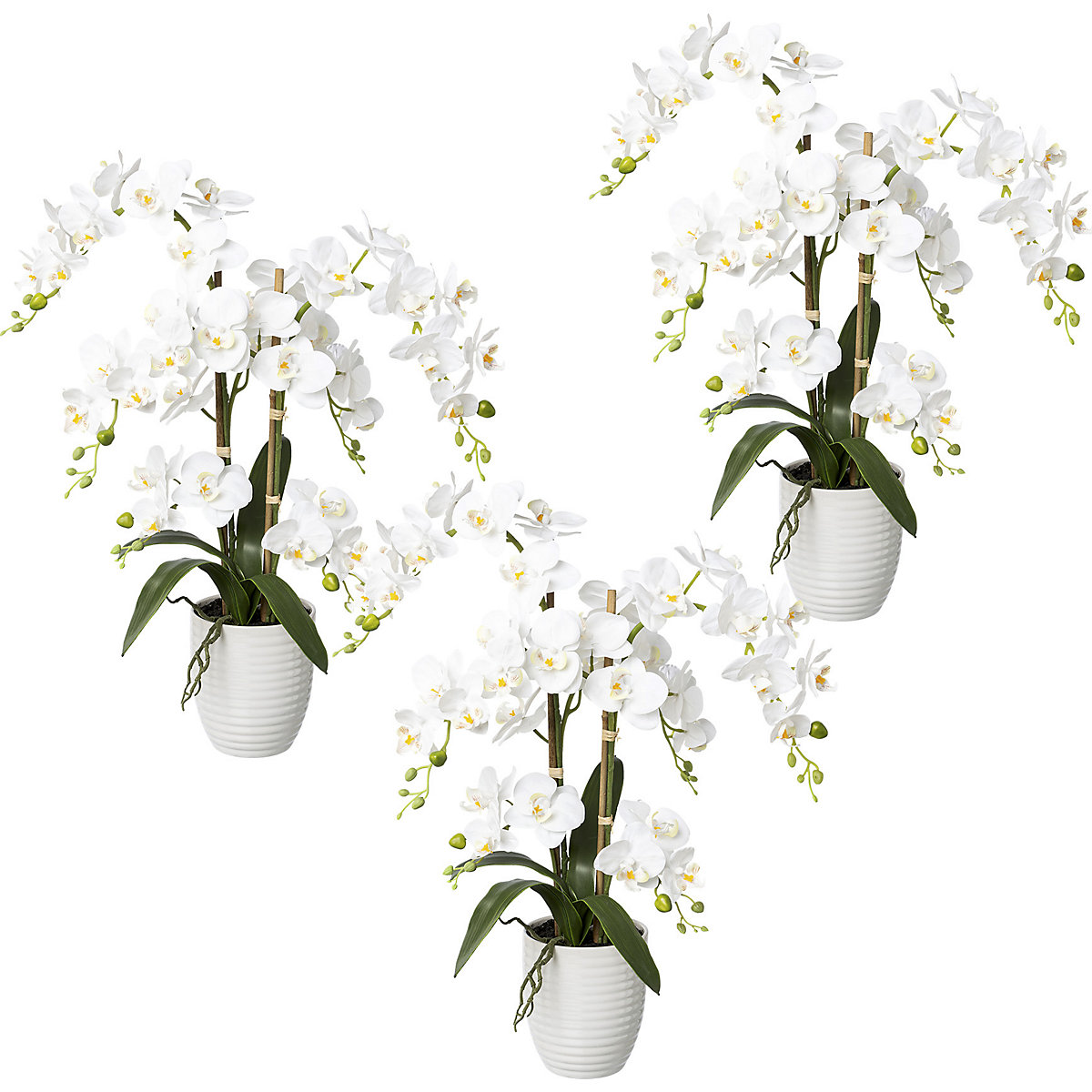 Orchidea phalaenopsis, real touch, altezza 670 mm, conf. da 3 pz., vaso di ceramica, bianco-0