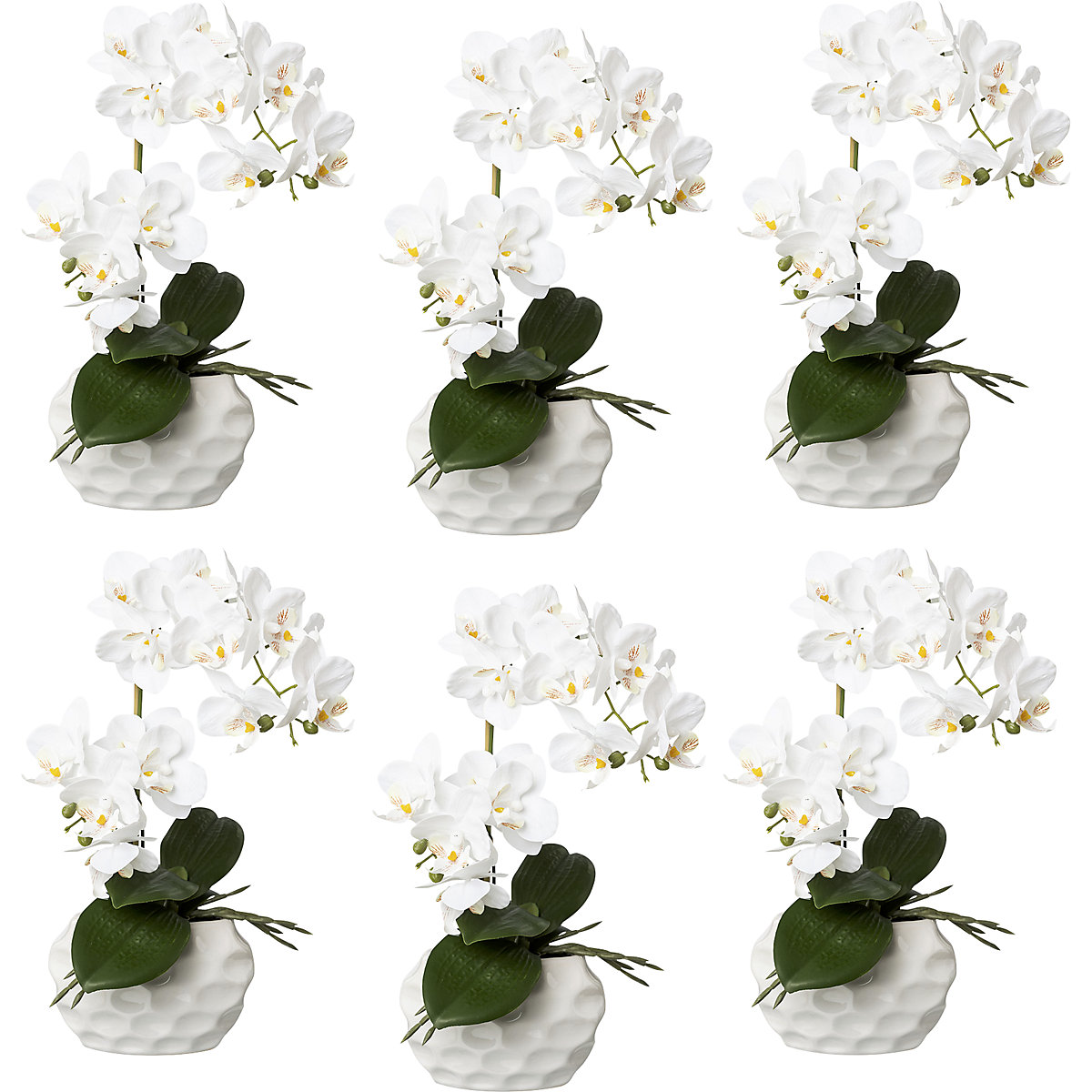 Orchidea phalaenopsis, real touch, altezza 330 mm, conf. da 6 pz., vaso di ceramica, bianco-0