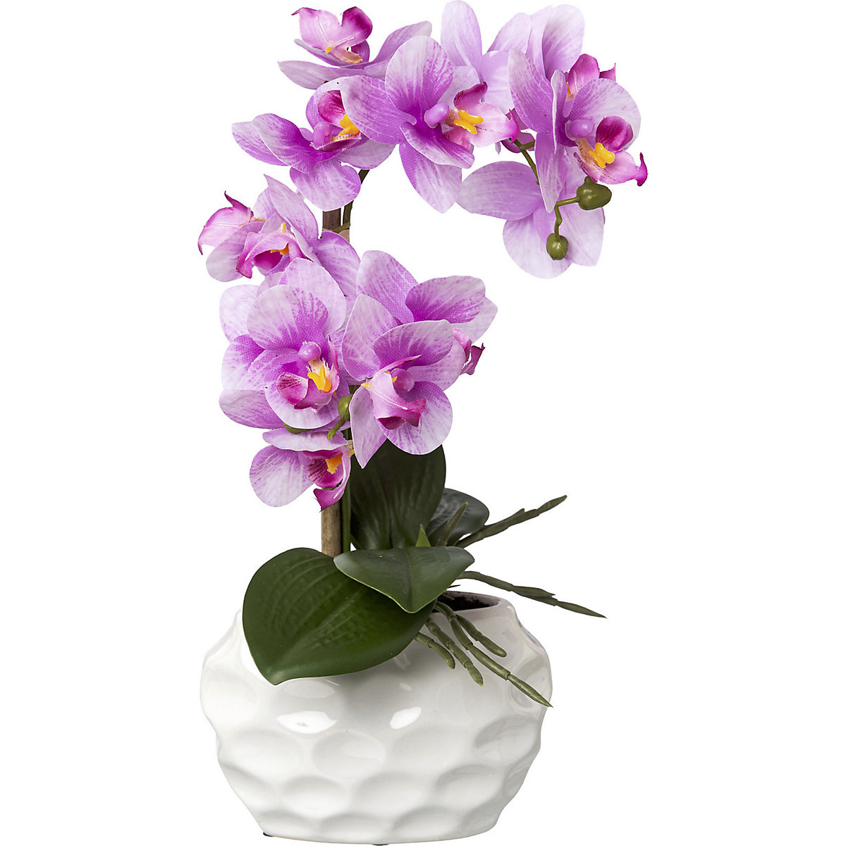 Orchidea phalaenopsis, real touch (Foto prodotto 2)-1