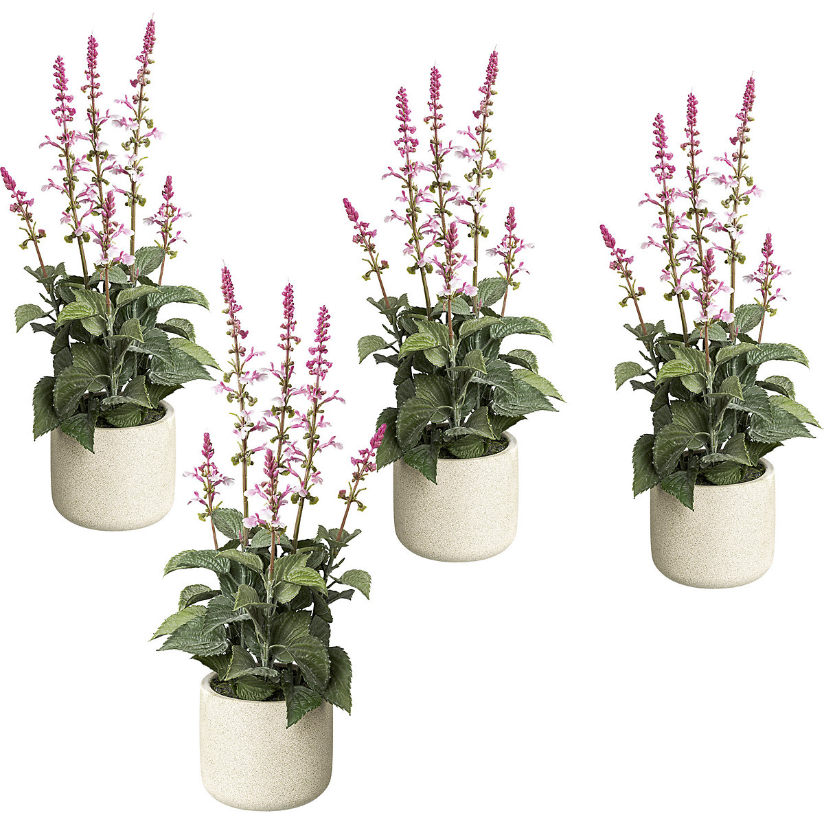 Salvia in vaso di cemento, conf. da 4 pz., altezza 450 mm, fiori rosa-0