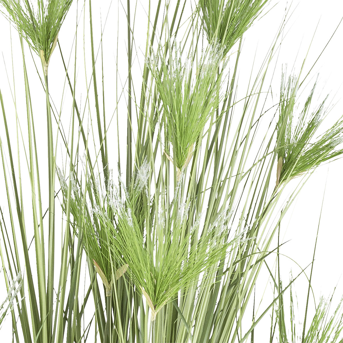 Pianta artificiale Cyperus longus erba (Foto prodotto 2)-1