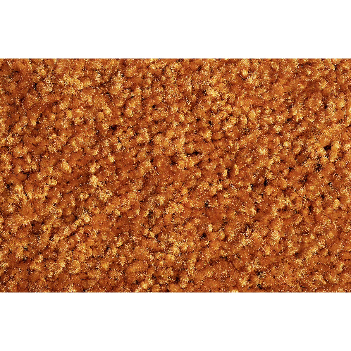 Zerbino catturasporco EAZYCARE COLOR – Miltex (Foto prodotto 2)-1