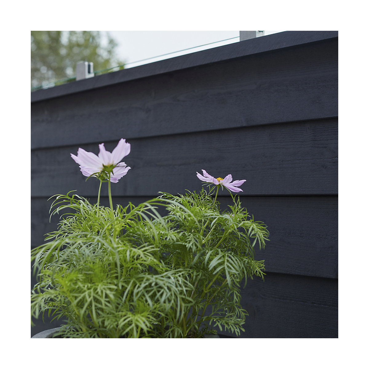 PLUS Klink Recinzione a profilo con vetro (Foto prodotto 10)-9