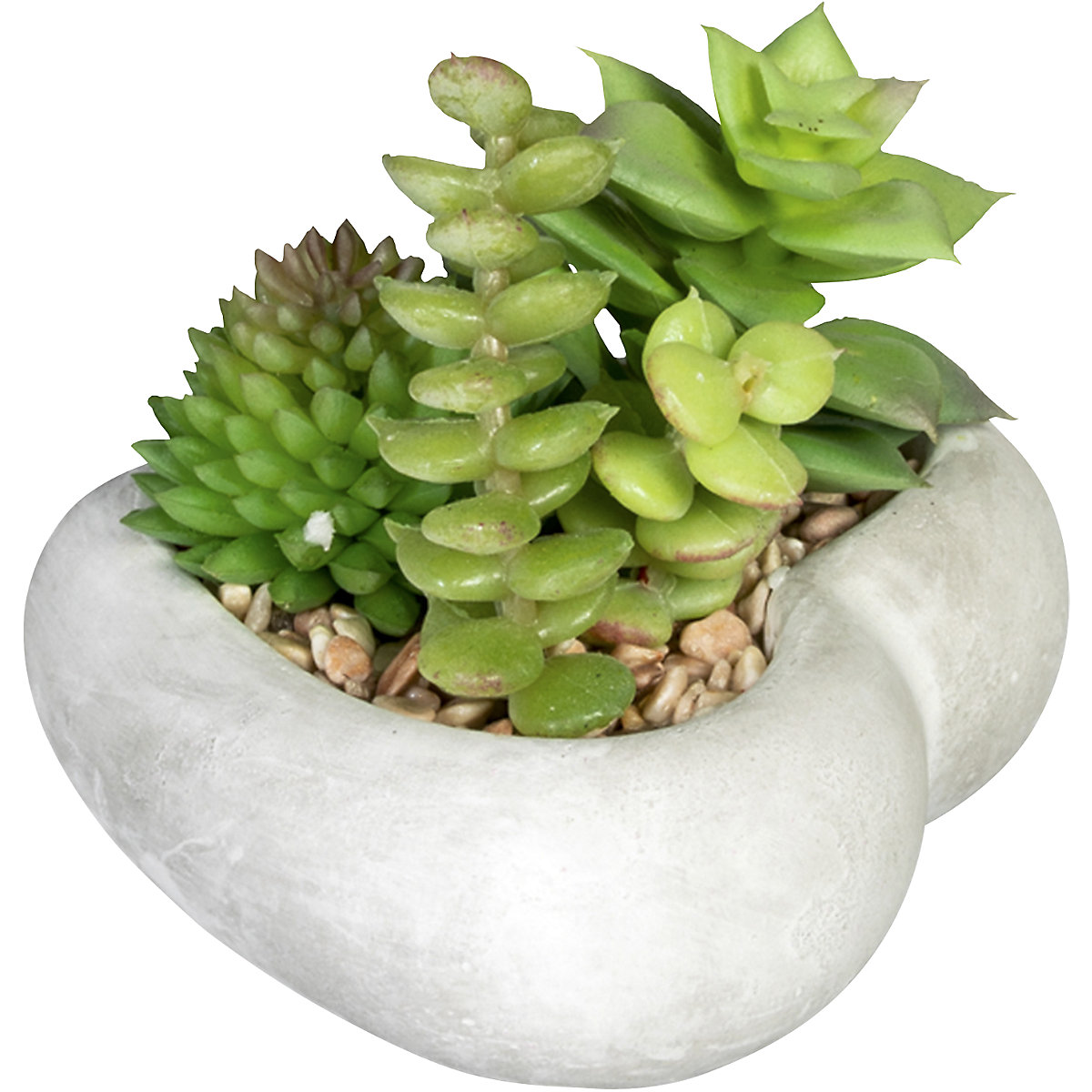 Sukkulentenarrangement (Produktabbildung 3)