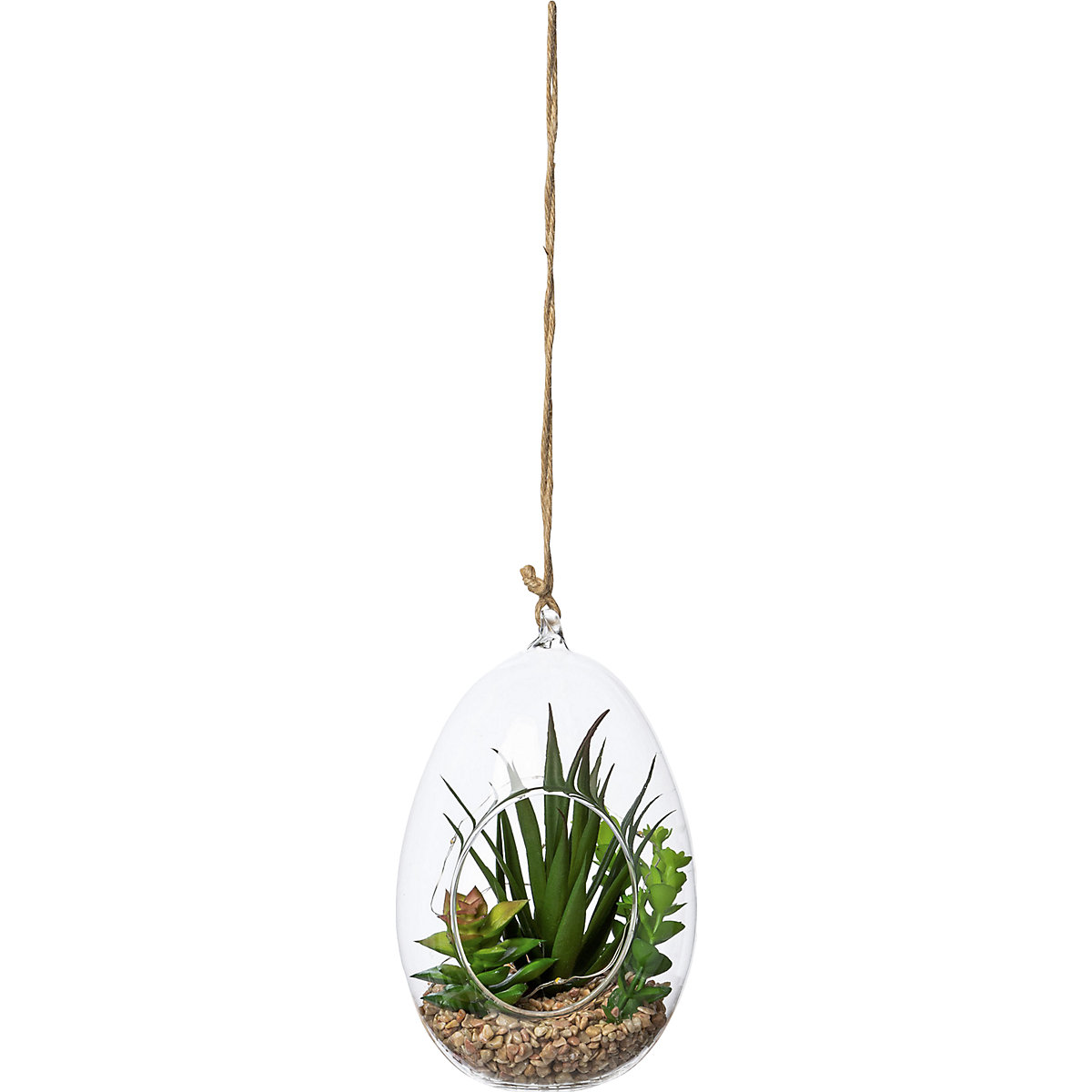 Sukkulenten-Mix mit LED, VE 2 Stk (Produktabbildung 2)