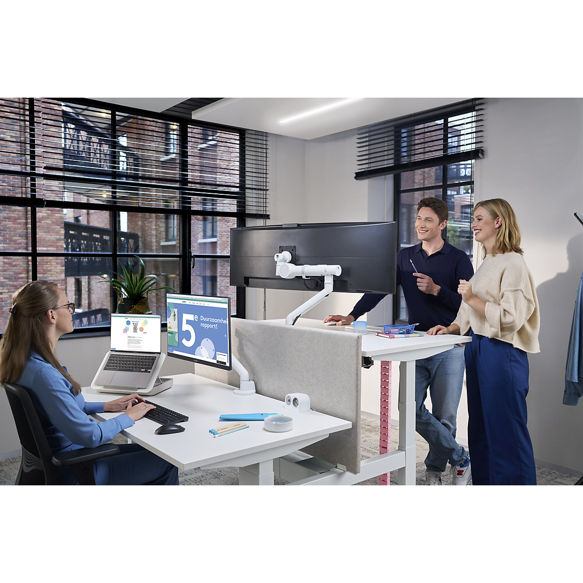 Viewgo pro Monitorarm HD – Schreibtisch Dataflex (Produktabbildung 2)-1