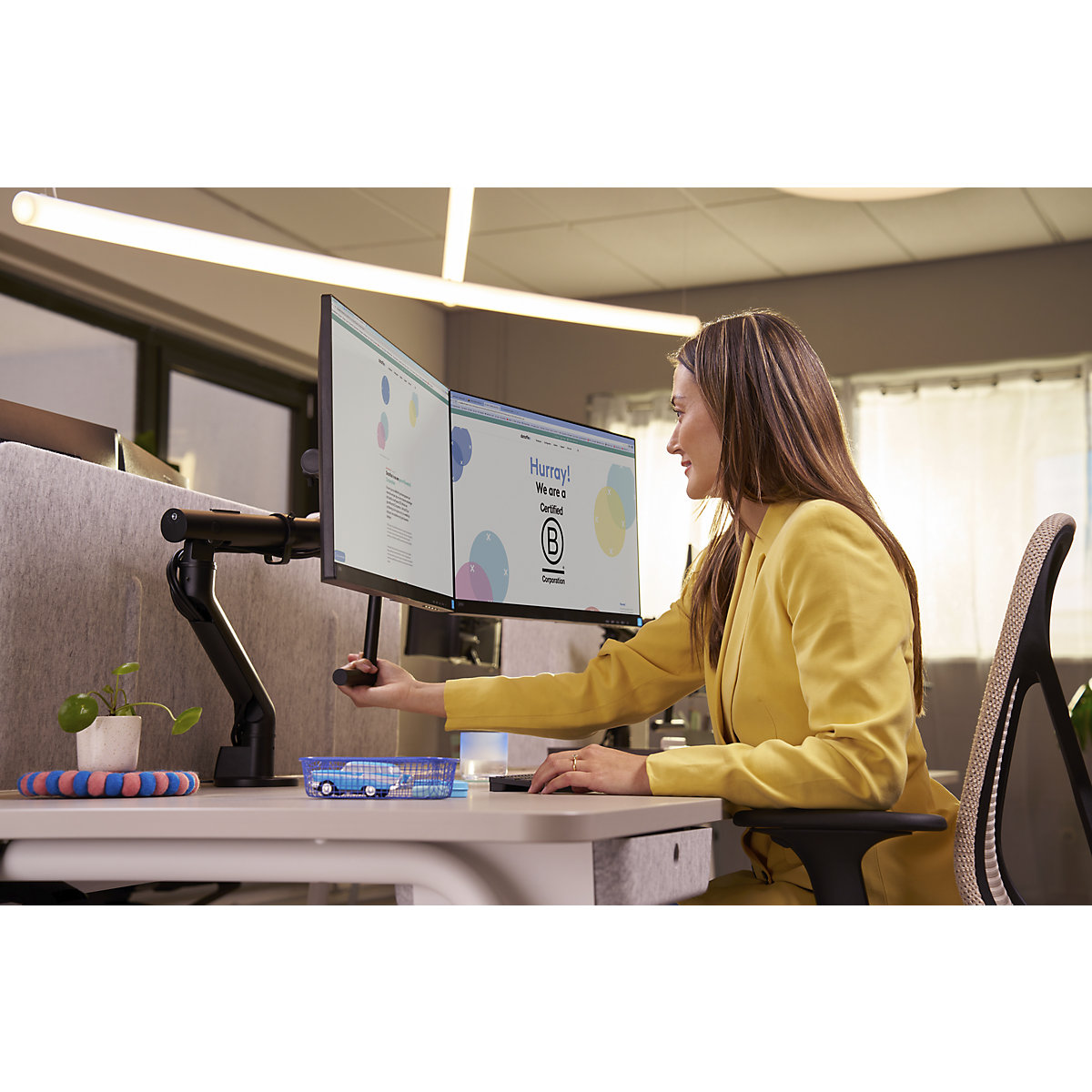 Viewgo pro Monitorarm HD – Schreibtisch Dataflex (Produktabbildung 3)-2