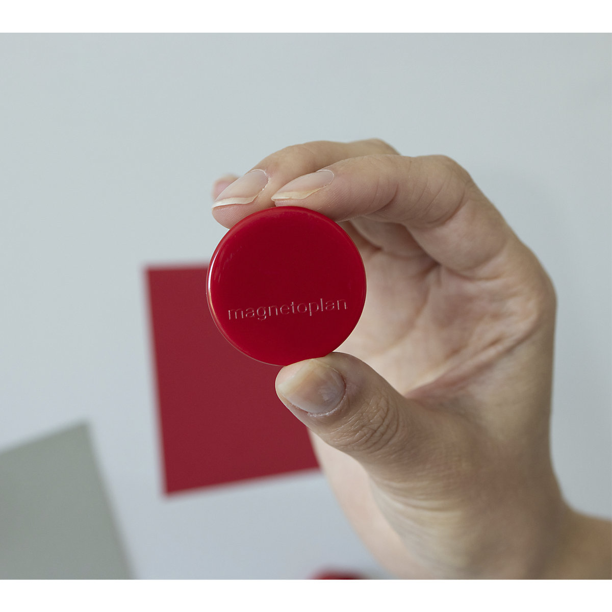 Magnet Ergo – magnetoplan (Imagine produs 4)-3